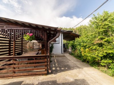 Oază de liniște la marginea pădurii – Proprietate de vânzare în Bascov!