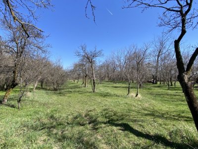 Teren 3470 MP - Bradu, Argeș. Posibilitate plata în 3 rate. 