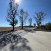 Teren extravilan de vânzare – Căteasca, Argeș | 27.201 mp | Deschidere 58,55 m thumb 7