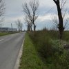 Teren extravilan de vânzare – Căteasca, Argeș | 27.201 mp | Deschidere 58,55 m thumb 1