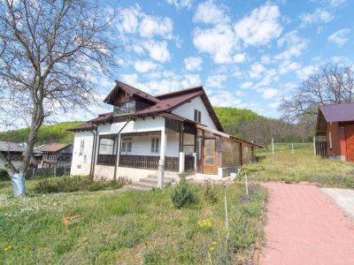 Casa cu teren 4727mp in Ciomagesti, Arges -ideala pentru locuit sau vacanta