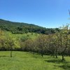 Teren 12.225 mp - Aranghel, jud. Valcea thumb 1