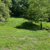 Teren 12.225 mp - Aranghel, jud. Valcea thumb 2