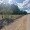 Teren Cerbu - Albota - cu PROIECT CASA si AVIZE  thumb 5