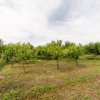 Casa la tara - Com. Ratesti, sat Nejlovelu - la 30 km de Pitesti thumb 13