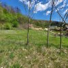 Casa spațioasă cu 6 camere și teren generos, lângă pădure - Valea Ursului/Argeș thumb 14