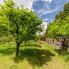 Colț de Rai -Casă de vacanță cu Pădure-Livadă și Râu -Jud.Argeș! thumb 19