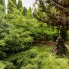Colț de Rai -Casă de vacanță cu Pădure-Livadă și Râu -Jud.Argeș! thumb 20