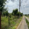Teren Intravilan - Str. Gorganu, Calinesti - 1268 mp! thumb 4