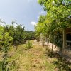 Casă batraneasca – Glambocelu, com. Bogați, Arges! thumb 15