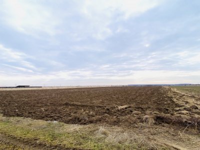Teren 8973 mp intravilan loc. Albota, jud. Arges. Comision 0%