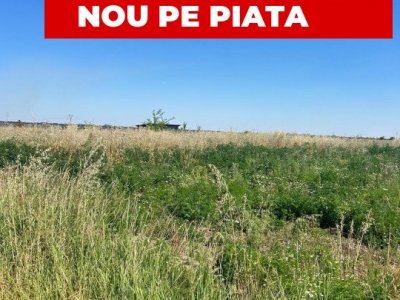 Teren intravilan 8.973 mp Loc. Albota -RESTAURANT LUXOR Arges 