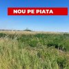 Teren intravilan 8.973 mp Loc. Albota -RESTAURANT LUXOR Arges  thumb 1