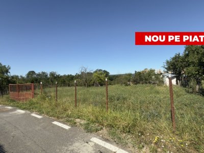 Teren generos de 1350 mp Budeasa Galasesti -Arges!