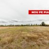 Teren intravilan 3000 mp, Oarja, Arges – amplasament excelent thumb 1