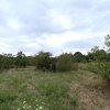Teren intravilan 1.765 mp in Poiana Lacului, AG thumb 3