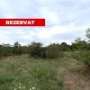 Teren intravilan 1.765 mp in Poiana Lacului, AG thumb 1