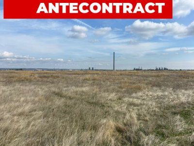 Teren 10.000 mp zona industriala Albota 10 euro mp -Arges 