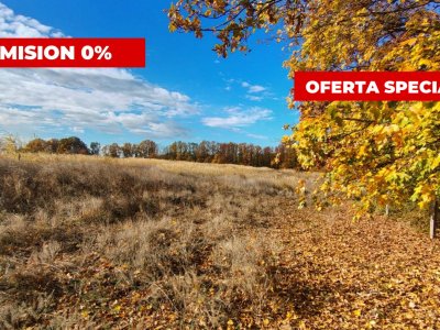 Teren 10200 mp intravilan Mosoaia