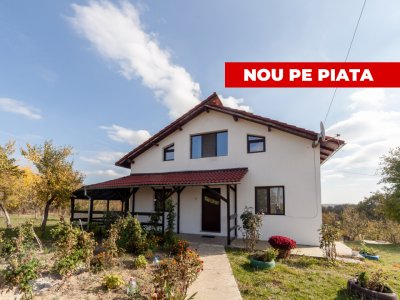 Casa P+M cu teren 2788 mp COCU -RACHITELE ARGES