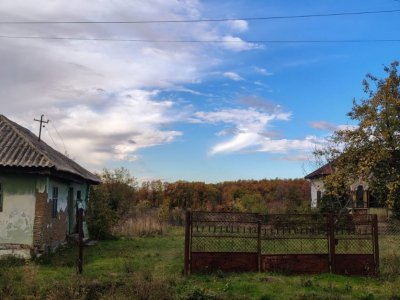 Teren Mosaia 6975 mp intravilan