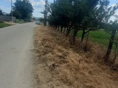 TEREN  ZONA MUZEUL GOLESTI ARGES!!