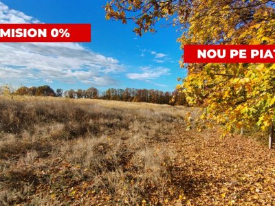 Terenuri intrevilane Comuna Mosoaia