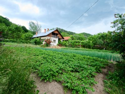 Casa cu teren generos - 4696 mp Apa Sarata - Campulung !!