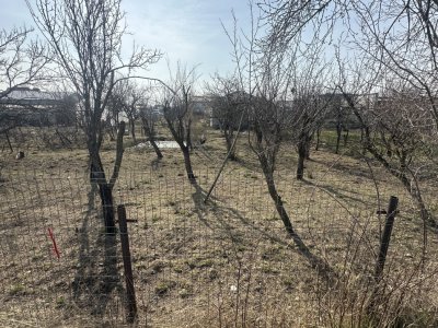 Teren 800 mp intravilan str. Olteni, Mosoaia, Arges