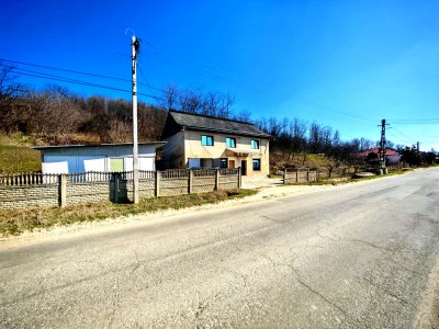 Casa spatiu comercial Arges Darmanesti