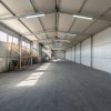 Hale & Birouri Mărăcineni - 1.294 mp - Deschidere la DN thumb 2