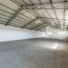 Hale & Birouri Mărăcineni - 1.294 mp - Deschidere la DN thumb 17