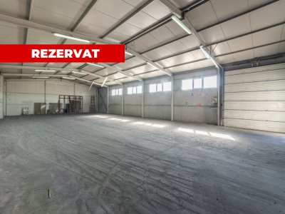 Hale & Birouri Mărăcineni - 1.294 mp - Deschidere la DN