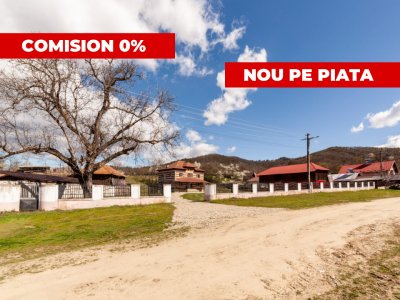 Casa de vanzare in Arges Cosesti