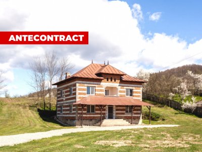 Casă P+1 langa padure cu teren 4.752 mp Cosesti Arges