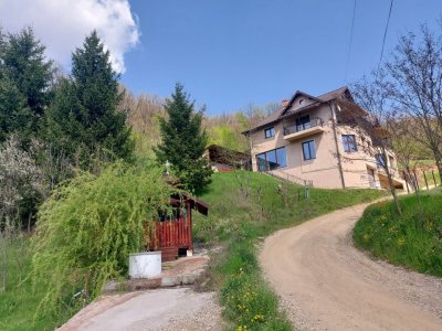 Casa imbratisata de padure + cabanuta de vara - Valea Ursului, Bascov 