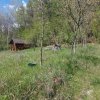 Casa imbratisata de padure + cabanuta de vara - Valea Ursului, Bascov  thumb 16