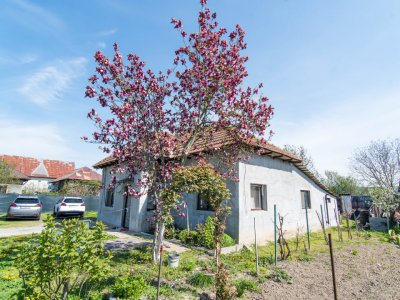 Casa + 948 MP Teren | Merisani