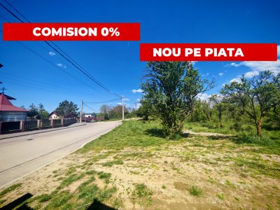 Teren central intravilan în Mioveni 