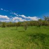 Casa Valea Mare Pravat (Campulung-Arges ) - farmec interbelic  thumb 3