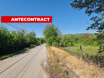 Teren intravilan Calinesti - Arges