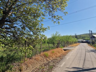Teren Calinesti, Arges!