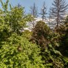 Apartament 2 camere - Expo Parc Pitesti! thumb 10