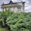 Acasă la Bascov- Județ Arges cu peisaj de poveste thumb 27