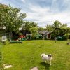 Casă de vânzare în Geamăna – Strada Fântânii imaginea mica 19 Casă de vânzare în Geamăna – Strada Fântânii thumb 19