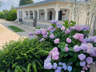 Casa visurilor cu 4000 mp livada roditoare si gradina Darmanesti-Arges