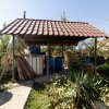 Casa visurilor cu 4000 mp livada roditoare si gradina Darmanesti-Arges imaginea mica 26 Casa visurilor cu 4000 mp livada roditoare si gradina Darmanesti-Arges thumb 26