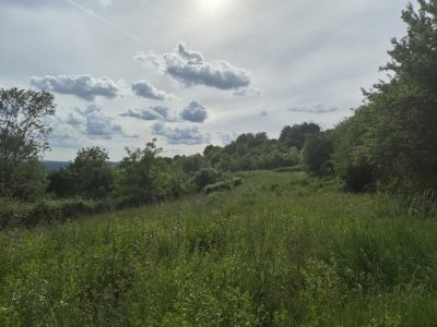 Teren Intravilan - Generos (2800 mp) - Zona superba foarte aproape de centru Cam