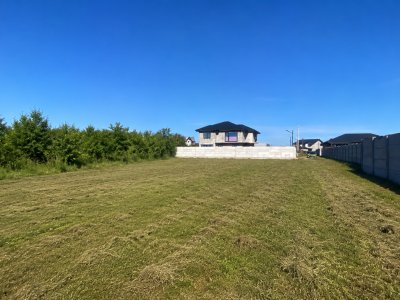 Teren intravilan 530 Mp | Albota