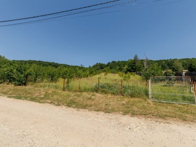 Teren Ștefănești Valea Mare 